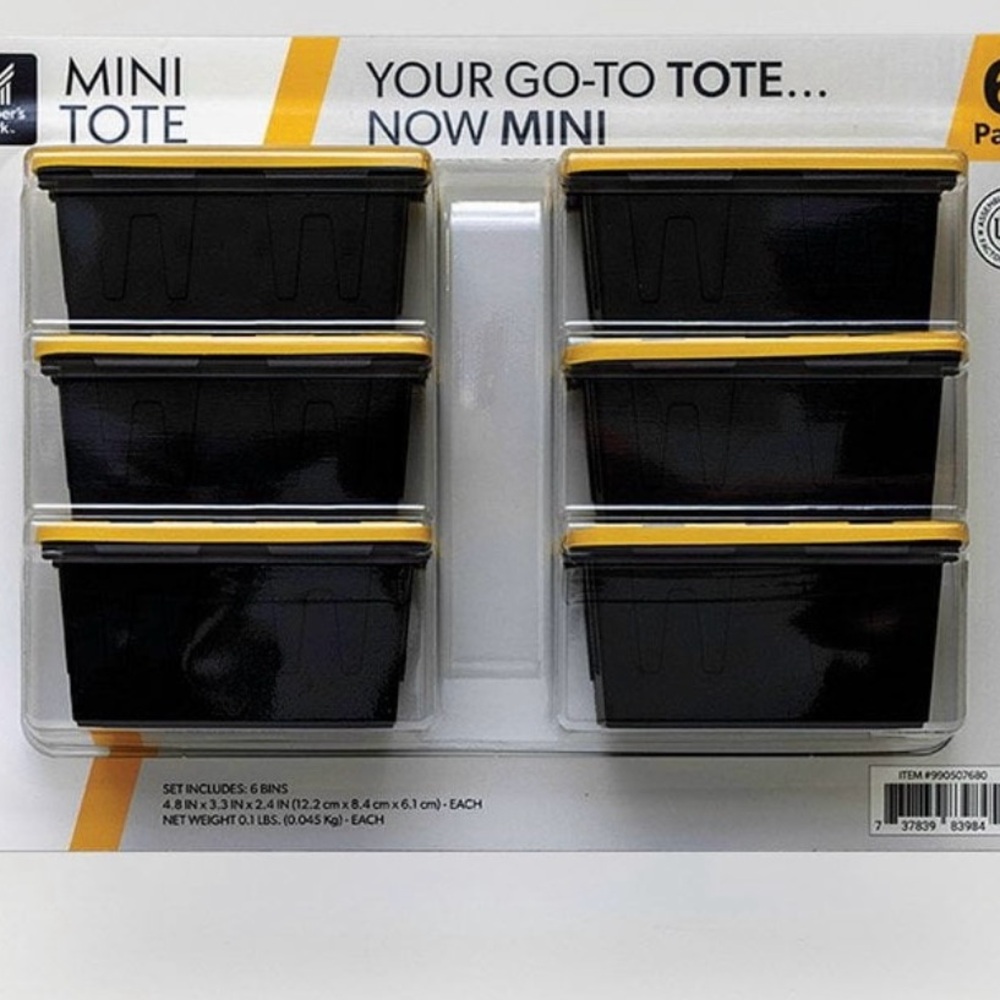 Teeny Tote Tiktok Viral Mini Plastic Storage Totes Set Of 6
